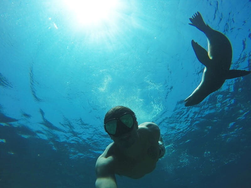 From La Paz: Swim with Sea Lions & Espíritu Santo Boat Tour - Authentic Experiences and Hidden Insights
