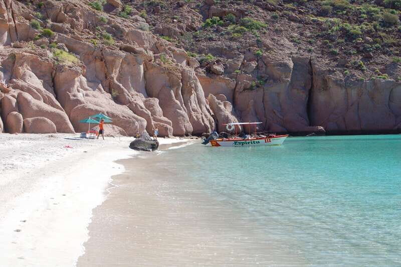 From La Paz: Swim with Sea Lions & Espíritu Santo Boat Tour - Who Is This Tour Best For?