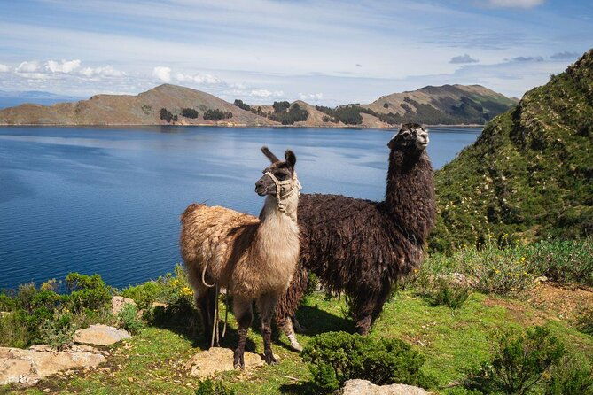 from-la-paztiwanacu-and-titicaca-lake-in-one-day