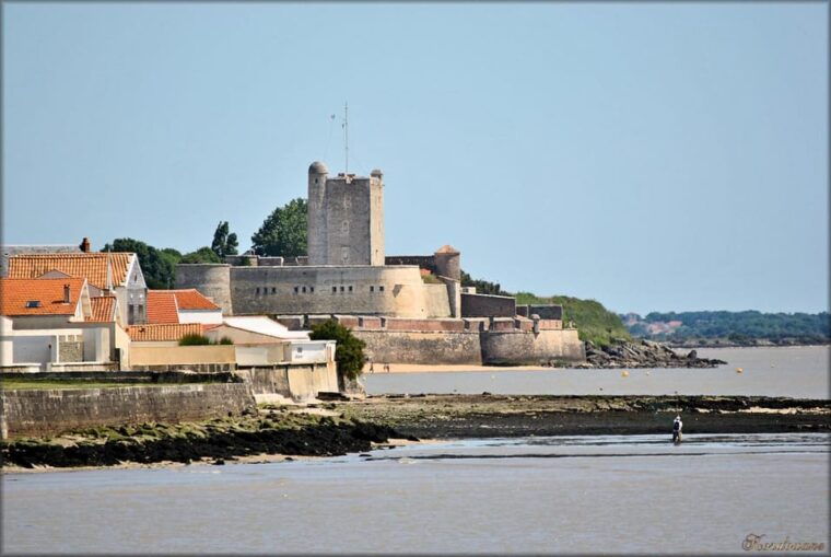 from-la-rochelle-day-trip-to-fouras-royan-and-oleron-island