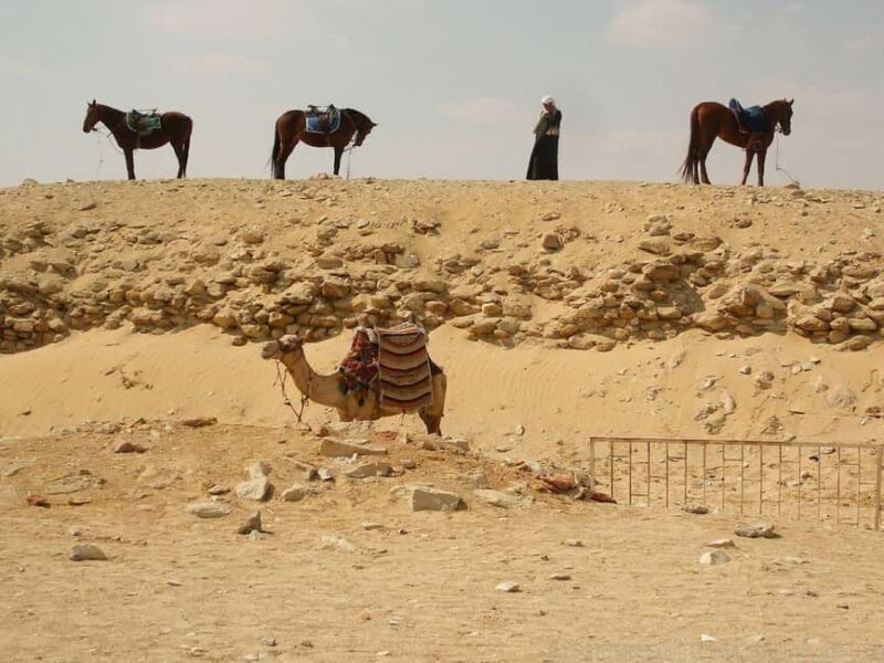 From Laayoune: 5 Day-4 Night Western Sahara Journey - Key Points