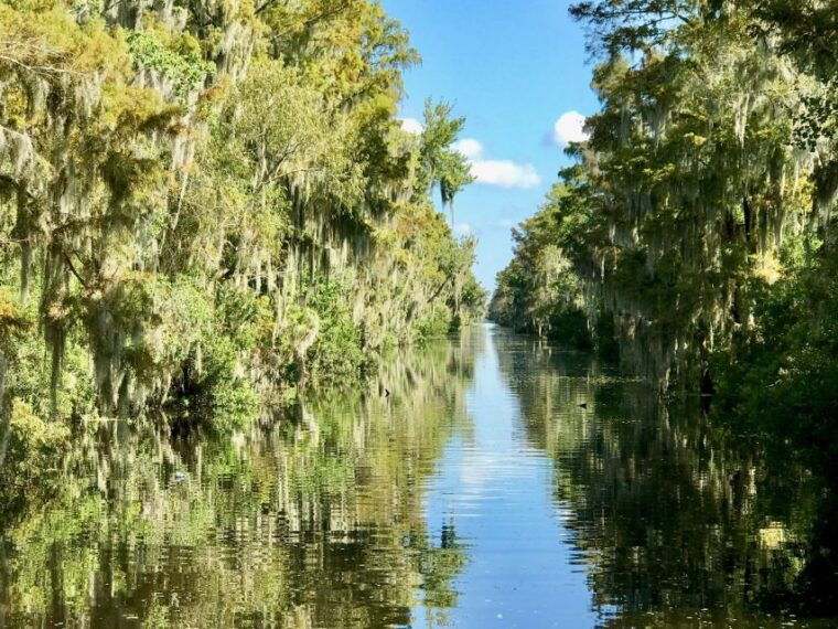 from-lafitte-swamp-tours-south-of-new-orleans-by-airboat