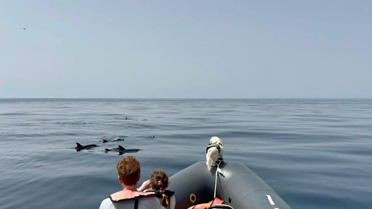 from-lagoa-dolphins-ponta-da-piedade-with-biologist-guide