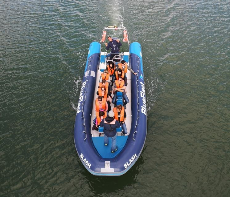 from-lagos-dolphin-watching-boat-trip-w-marine-biologists