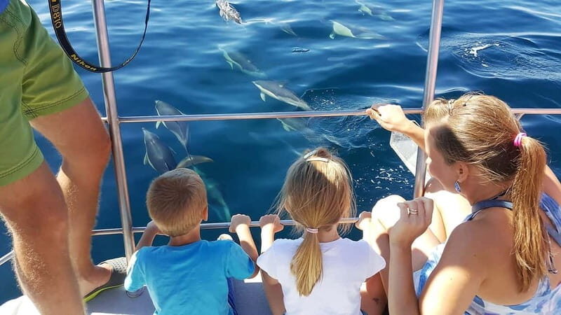 From Lagos: Dolphin Watching Catamaran Cruise - Pricing & Value