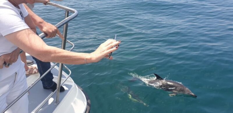 From Lagos: Dolphin Watching Catamaran Cruise - A Closer Look at the Itinerary