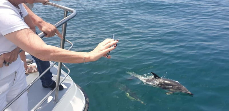 From Lagos: Dolphin Watching Catamaran Cruise - Final Thoughts: Is This Tour Worth It?