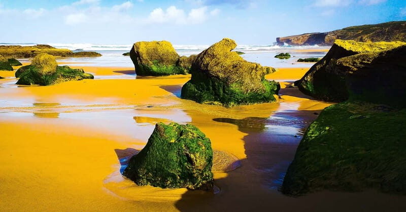 From Lagos: Half-Day West Coast Minivan Tour - Who Should Consider This Tour?