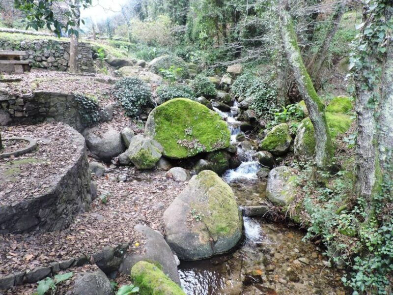 from-lagos-monchique-private-guided-hike-medronho-tasting