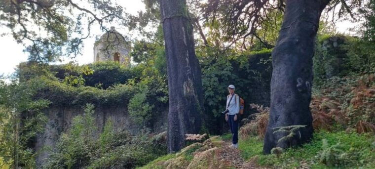from-lagos-monchique-private-guided-hike-medronho-tasting
