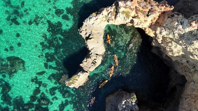 From Lagos: Ponta da Piedade Caves Kayak Tour from Catamaran - Practical Details