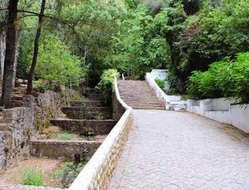 from-lagos-private-tour-with-medronho-tasting