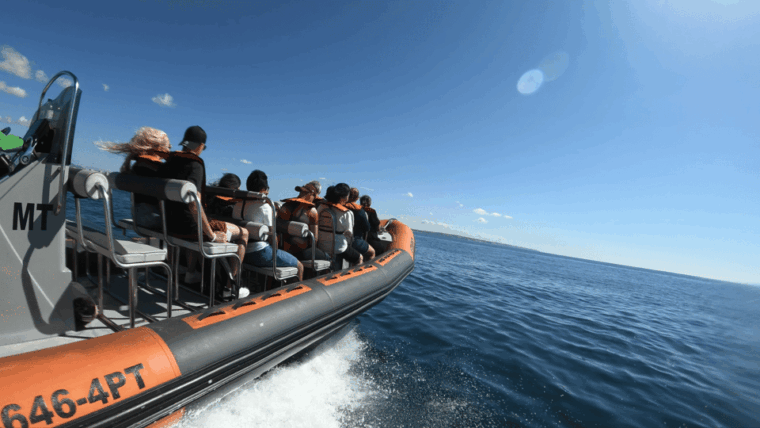 from-lagos-scenic-cruise-to-the-benagil-and-carvoeiro-caves