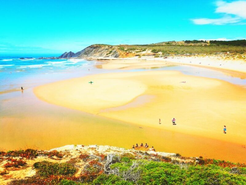 From Lagos: Wild and Wonderful West Coast Full-Day Tour - Key Points