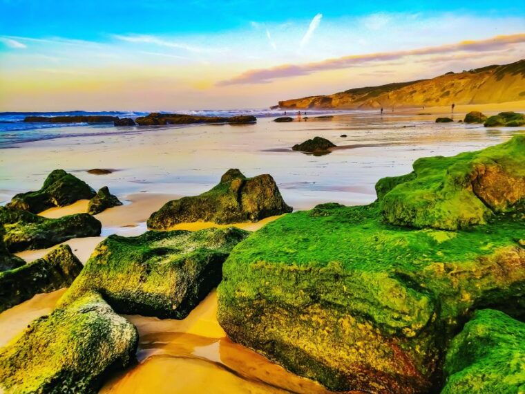 from-lagos-wild-and-wonderful-west-coast-full-day-tour
