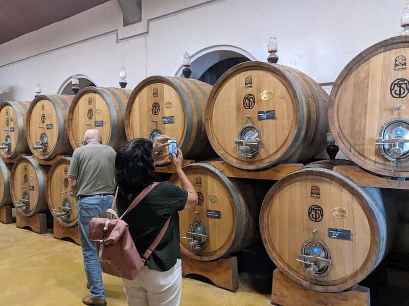 From Lake Garda: Valpolicella Wine & Lunch Guided Trip - Key Points
