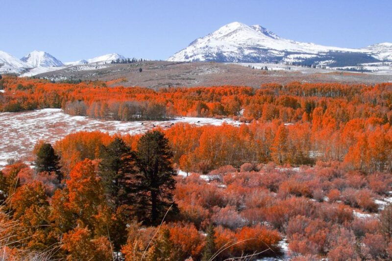 from-lake-tahoe-yosemite-national-park-day-trip-with-lunch