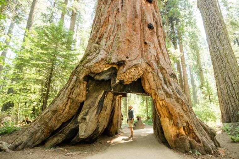 from-lake-tahoe-yosemite-national-park-day-trip-with-lunch