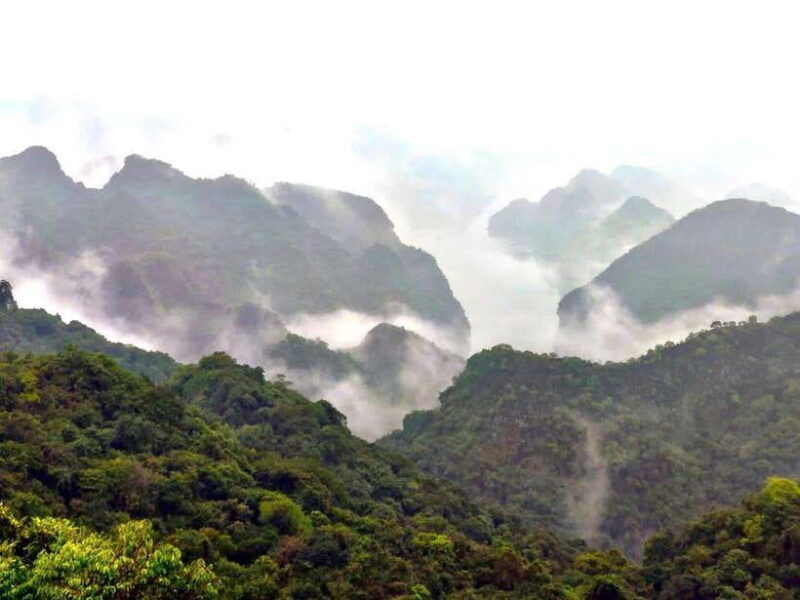 from-lan-ha-bay-navy-peak-viet-hai-village-and-monkey