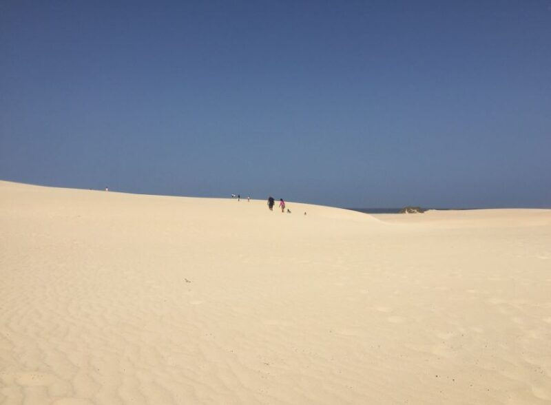 from-lanzarote-fuerteventura-day-trip