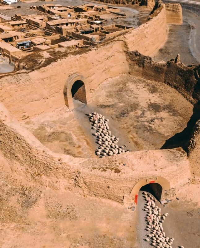 From Lanzhou: Yellow River Stone Forest & Yongtai Old City - Key Points