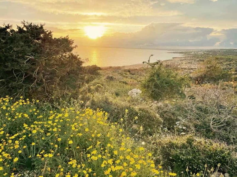 From Larnaca: Cape Greko Guided Tour with Transfers - Practical Details
