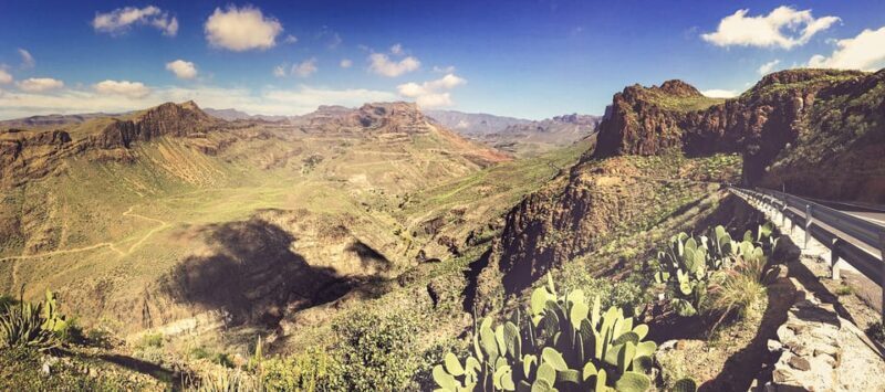 From Las Palmas: Fataga, Aloe Vera Farm, and Puerto de Mogán Market - Key Points  