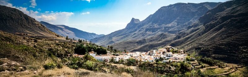 From Las Palmas: Fataga, Finca de Aloe Vera and Mercado Puerto de Mogán - Key Points