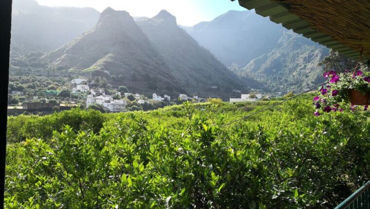 from-las-palmas-full-day-tour-of-the-north