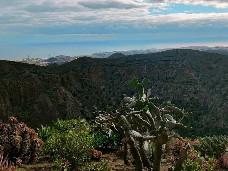 From Las Palmas: Half day tour Volcano Bandama & Vineyard - Introduction