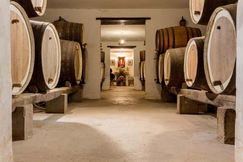 From Las Palmas: Half day tour Volcano Bandama & Vineyard - What to Expect and Practical Details