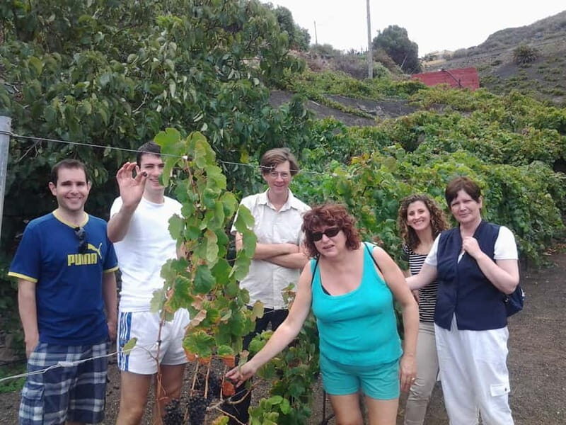 From Las Palmas: Half day tour Volcano Bandama & Vineyard - Authentic Experiences Based on Reviews