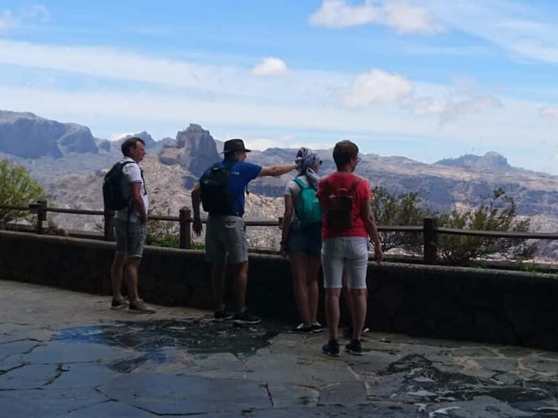 From Las Palmas High Mountains Tejeda & Artenara - Who Will Love This Tour?