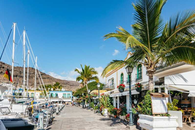 from-las-palmas-highlights-of-gran-canaria-day-tour