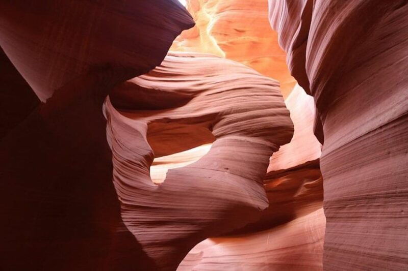 from-las-vegas-antelope-canyon-and-horseshoe-bend-day-trip-2