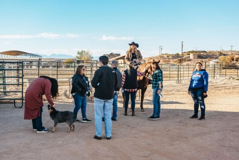 from-las-vegas-desert-sunset-horseback-ride-with-bbq-dinner