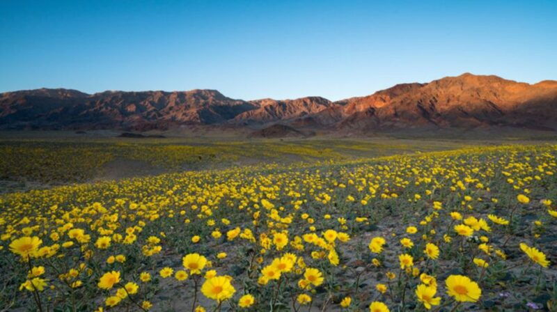 from-las-vegas-full-day-death-valley-group-tour
