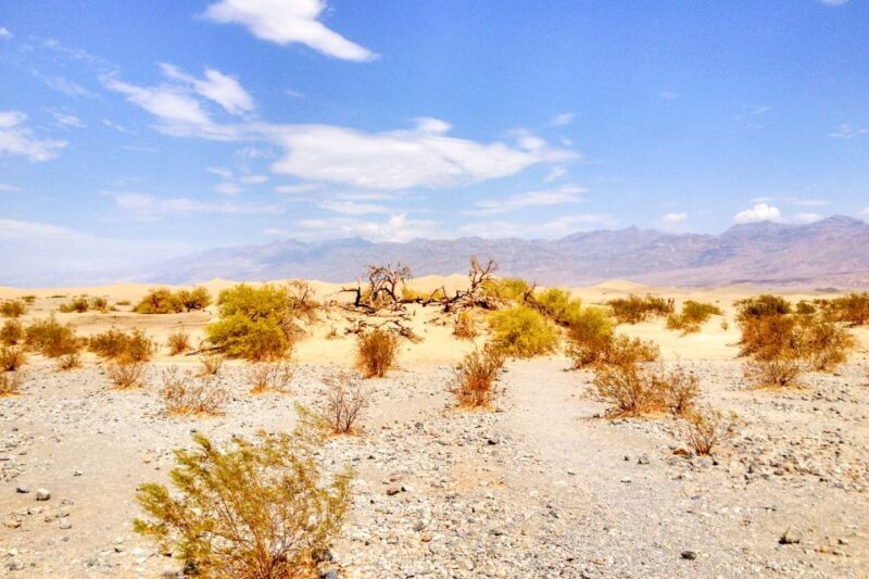 From Las Vegas: Ghost Town Wild West Adventures Day Trip - What’s Included and What’s Not  