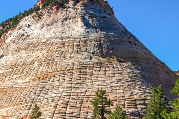 from-las-vegas-vip-small-group-zion-national-park-adventure