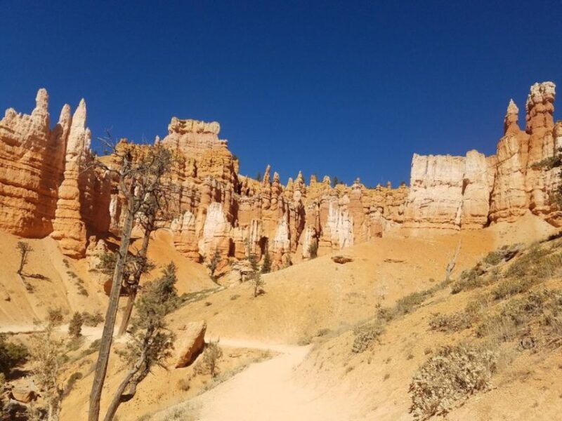 from-las-vegas-zion-and-bryce-canyon-guided-day-tour