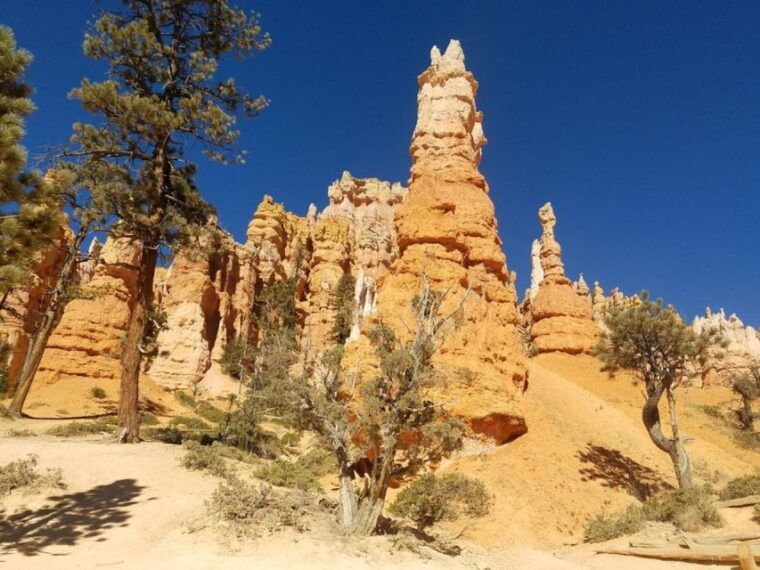 from-las-vegas-zion-and-bryce-canyon-guided-day-tour