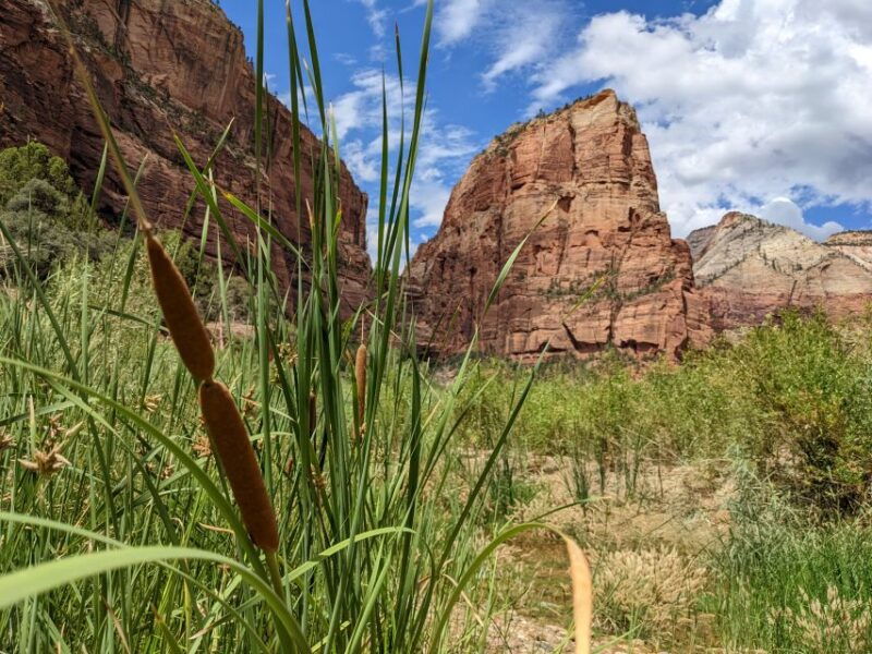 from-las-vegas-zion-national-park-small-group-adventure