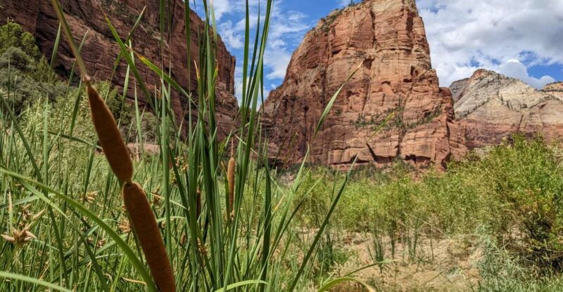 from-las-vegas-zion-national-park-small-group-adventure