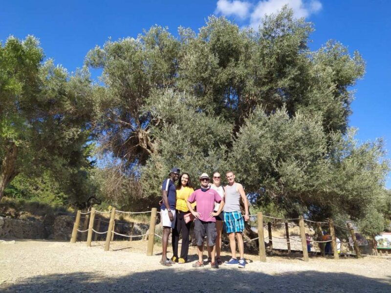 from-lasithi-area-richtis-gorge-experience