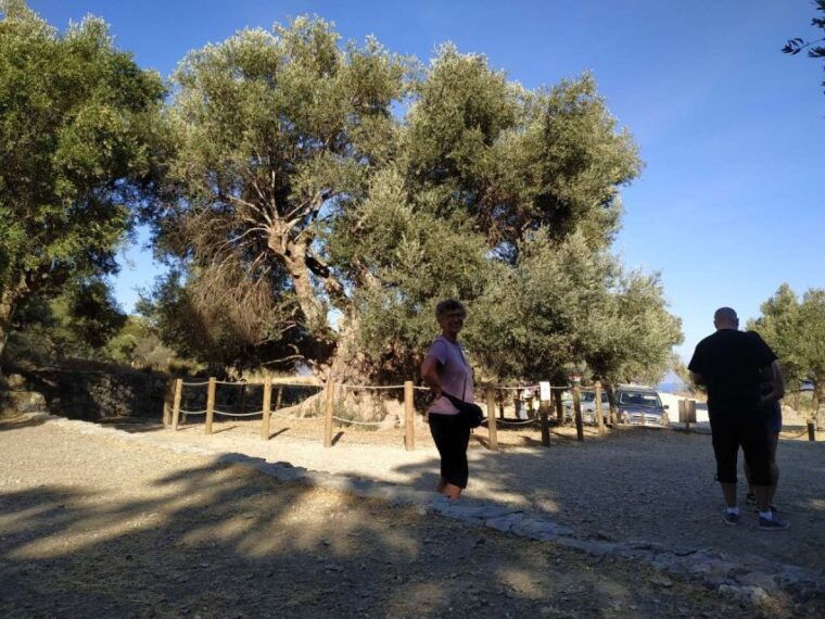 from-lasithi-area-richtis-gorge-experience