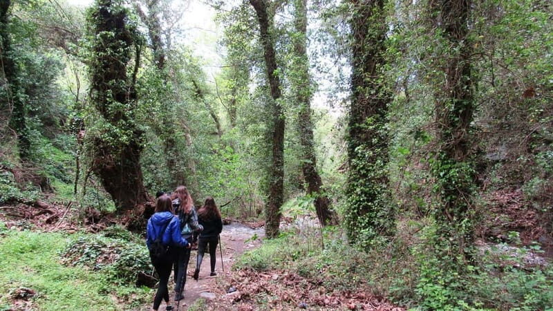 From Lasithi: Richtis Gorge - Authentic Insights from Reviewers