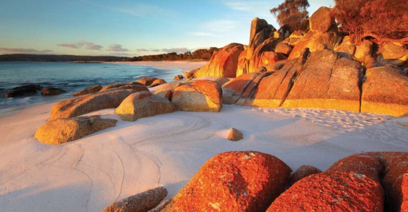 From Launceston: Bay of Fires Hiking Tour - 4 Days - Why This Tour Offers Great Value