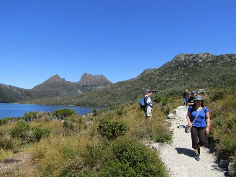 From Launceston: Cradle Mountain - Active Day Tour - Pencil Pine Falls: A Gentle Introduction