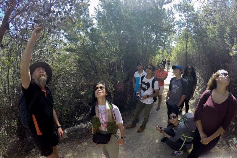 From Launceston: Full-Day Wineglass Bay Explorer Active Tour - FAQs