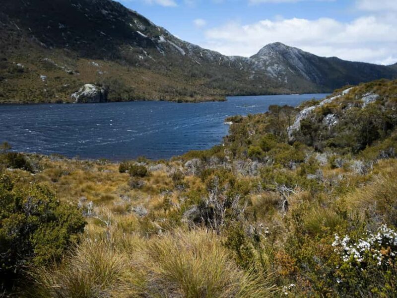 From Launceston: Sheffield Murals & Cradle Mountain Day Tour - Exploring Northern Tasmania in a Single Day